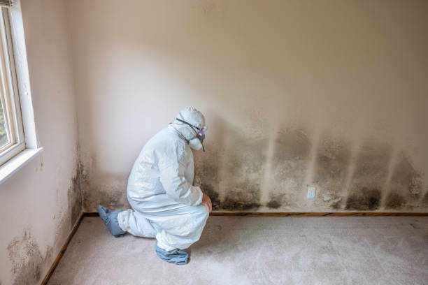 Best Commercial Mold Inspection  in Brightwood, VA